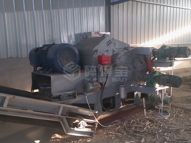 大連生物質(zhì)顆?，F(xiàn)場